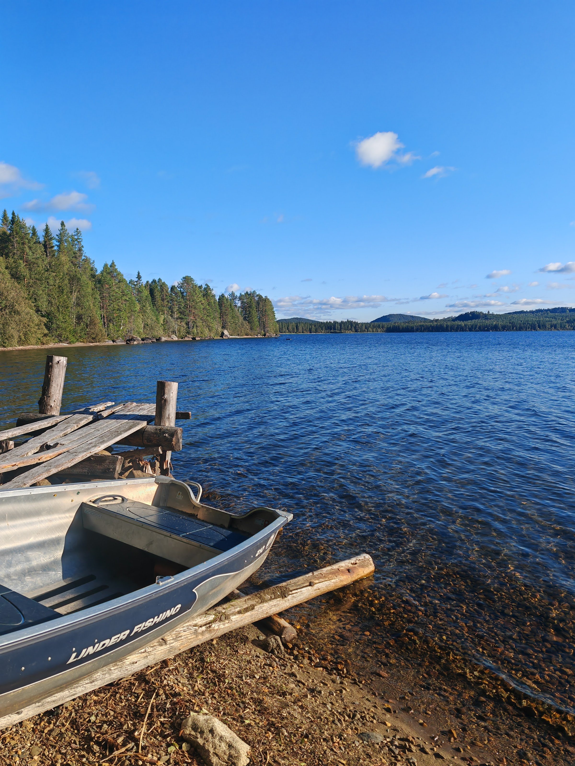 Woodland Farm (Sörviken 320, Hammerdal)